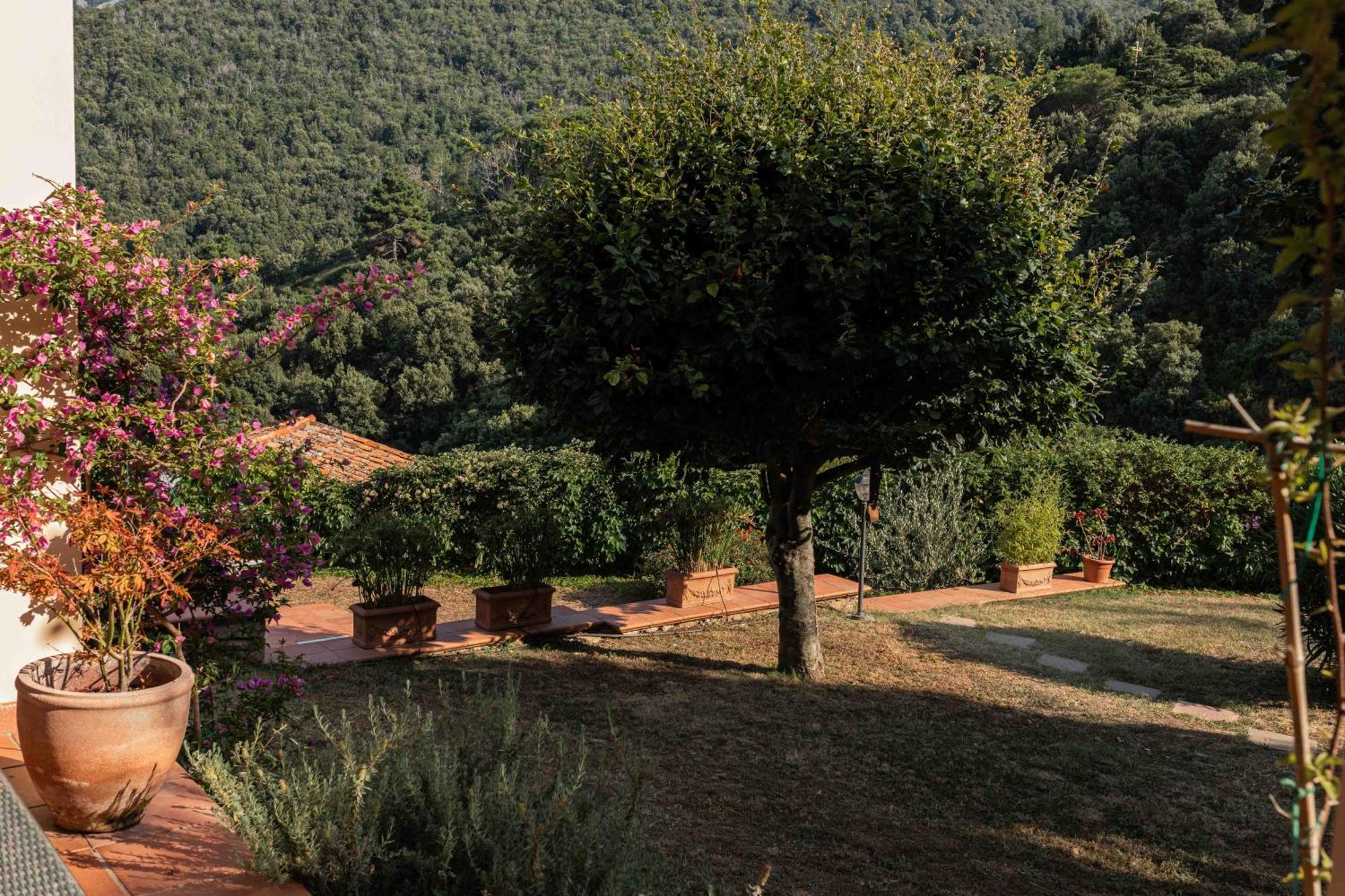 Villa Shanti Yoga & Meditation Marciana  Exterior foto